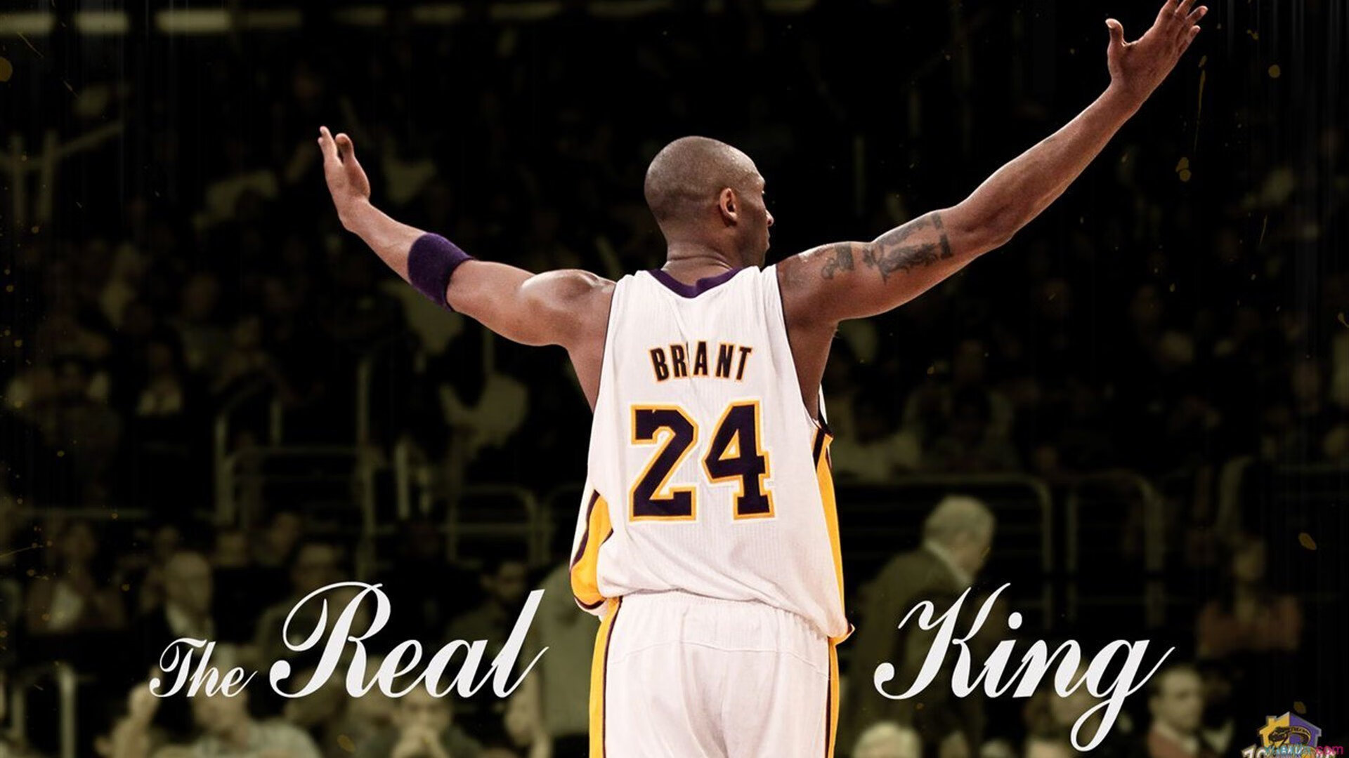 “高新体育中心:羽毛球赛场成全球选手竞技之地”