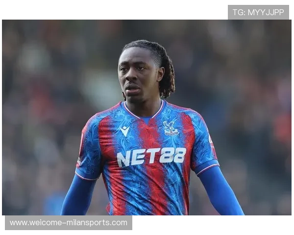 拜仁被视为全球俱乐部战术进化模板之一,拜仁阵营